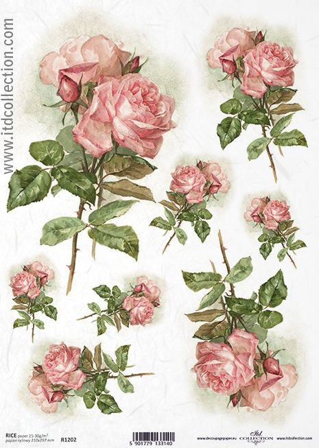Ριζόχαρτο Α4 40gr Ροζ τριαντάφυλλα 1202